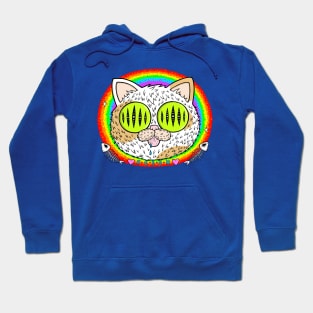 Feesh Cat Hoodie